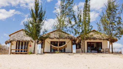 a house on the beach with trees at Villa Kabaceiras in Tatajuba