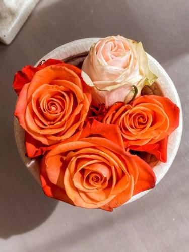 a bunch of roses in a bowl on a table at Hotel Sant'Andrea in Santa Margherita Ligure