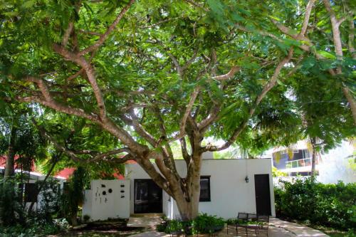 Casa del Flamboyan – Photos 3
