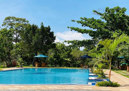 una piscina azul con sombrillas y árboles en The Forest Resort - Lweza en Makindye