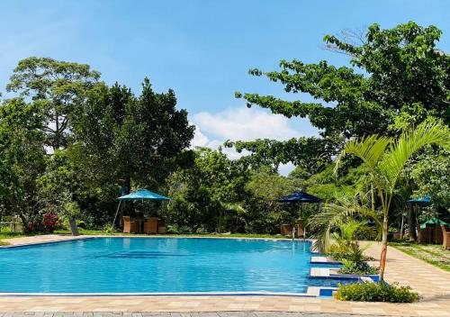 a blue swimming pool with umbrellas and trees at The Forest Resort - Lweza in Makindye