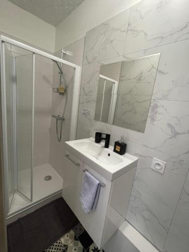 une salle de bain blanche avec un lavabo et une douche dans l'établissement Le Petit Duc, à Dijon
