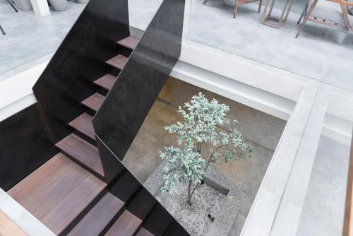 a tree in a pot on the floor next to a staircase at 9ine Thamel Hotel in Kathmandu