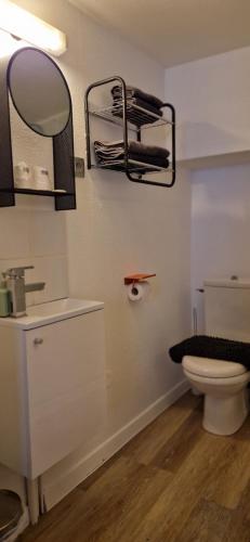 uma casa de banho com um WC, um lavatório e um espelho. em Appart Jardin en Ville Cœur de Nantes em Nantes