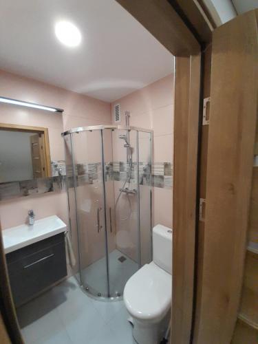 a bathroom with a shower and a toilet and a sink at Vytės apartamentai in Kaunas