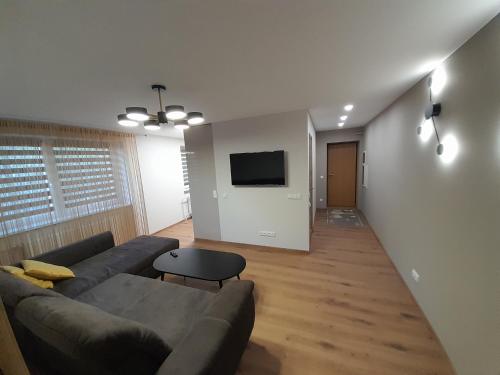 uma sala de estar com um sofá e uma televisão em Vytės apartamentai em Kaunas