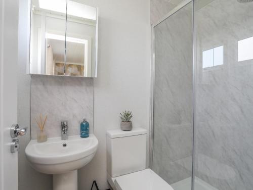 a bathroom with a toilet and a sink and a shower at Fairview Lodge in Pwllheli