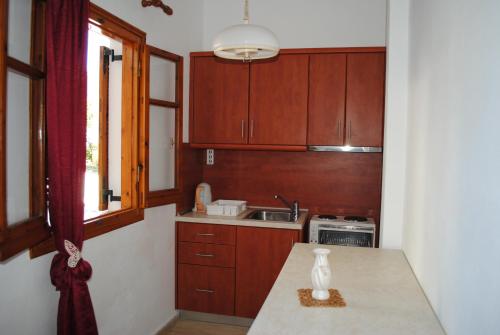 Kuchyň nebo kuchyňský kout v ubytování Hotel Olga