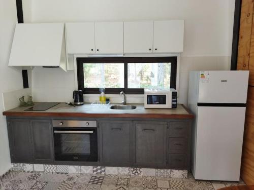 a kitchen with a white refrigerator and a microwave at Apartamento Dos hermanas in Colonia Estrella