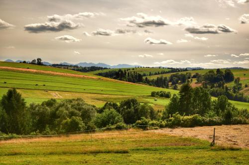 a green field with trees and mountains in the background at Domek u Zbyszka in Groń