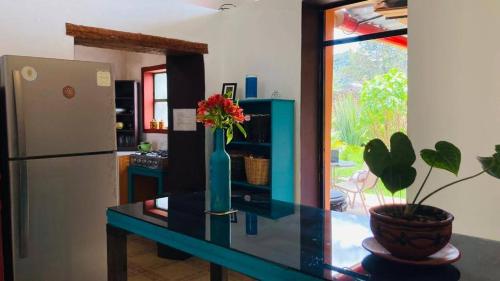 un vase bleu avec des fleurs sur un comptoir dans une cuisine dans l'établissement Casa Flor de Vida, à San Cristóbal de Las Casas