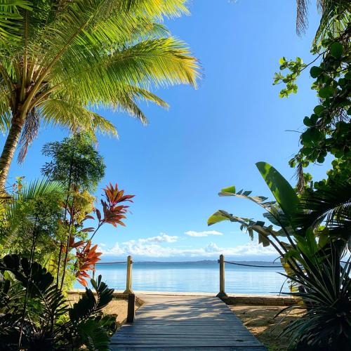 a wooden pathway leading to the water with palm trees at Casa Cayuco Eco-Adventure Lodge in Bocas del Toro