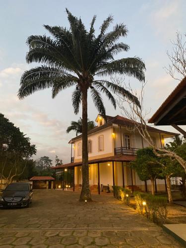 a palm tree in front of a house at Roça Vale dos Prazeres in São Tomé
