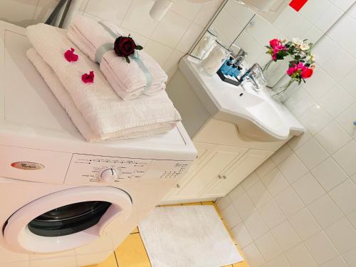 uma casa de banho com uma máquina de lavar roupa e um lavatório em Le Jardin croix Roussien em Lyon