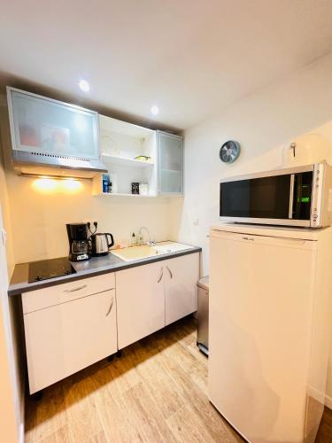 une petite cuisine avec un évier et un micro-ondes dans l'établissement Le Jardin croix Roussien, à Lyon