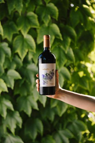 Bebidas en Agriturismo Albafiorita