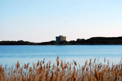 a castle on an island in the middle of a lake at Agriturismo Monte Alzato in Capalbio