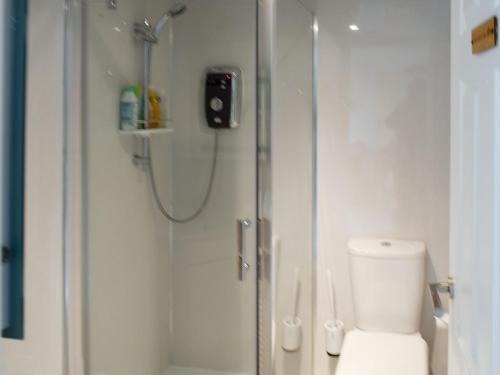 La salle de bains est pourvue d'une douche et de toilettes. dans l'établissement Bumbles Barn, à Slamannan