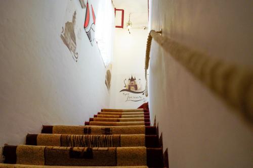 a staircase with brown carpeted stairs in a building at Pensiunea Noemi in Braşov