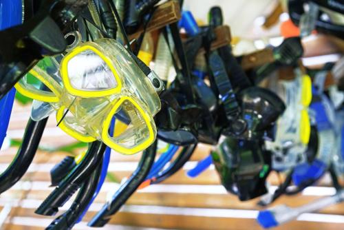 a close up of a bunch of golf clubs at Casa Cayuco Eco-Adventure Lodge in Bocas del Toro