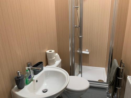 a bathroom with a toilet and a sink and a shower at Nelson st ALVA in Largs