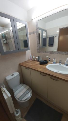 W łazience znajduje się toaleta, umywalka i lustro. w obiekcie Appartement 2 pièces Nice w Nicei