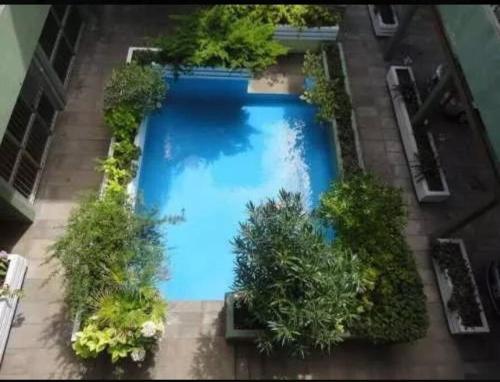 Elle offre une vue sur une grande piscine bleue bordée d'arbres. dans l'établissement VILLA GESELL Departamento Frente al Mar, à Villa Gesell