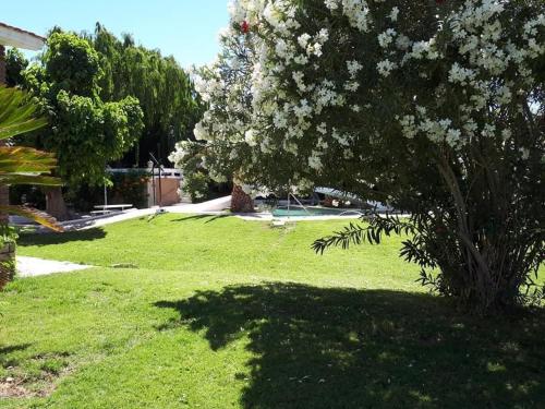Casa del Puente Albardon – Photos 2