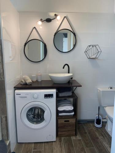 ein Badezimmer mit einer Waschmaschine und einem Waschbecken in der Unterkunft Studio Estelle Manganao in Saint-François
