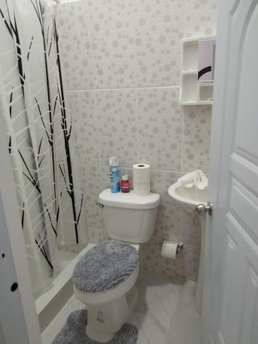 a small bathroom with a toilet and a sink at 4 Bedroom 4 Bath & Laundry Room Apartment in Sosúa