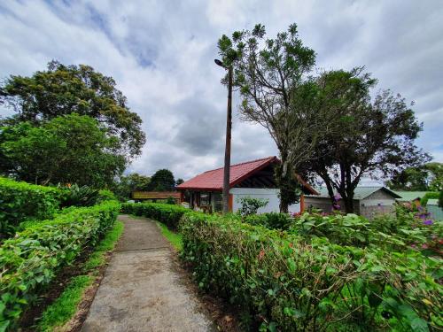 a path through a garden with a house in the background at Hotel Villa Zurqui in San José