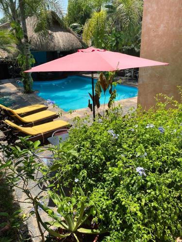 a pink umbrella next to a pool with lounge chairs at Hotel Camino Surreal Xilitla in Xilitla
