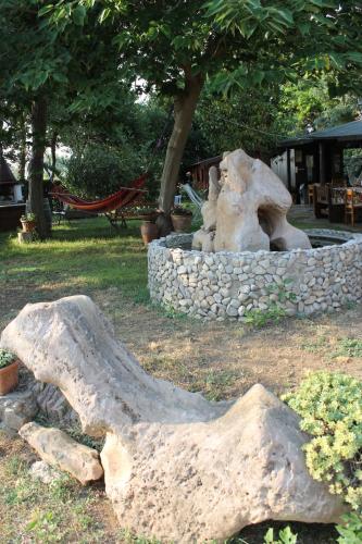 Фотография из галереи Agriturismo Barbadoro в Сан-Винченцо