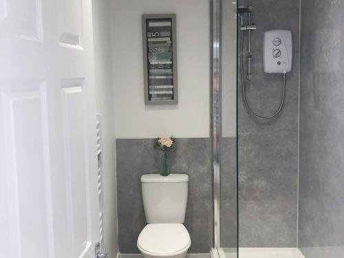 a bathroom with a toilet and a shower at Bell Tower in Berwick-Upon-Tweed