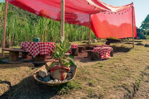Zona Camping – Photos 2