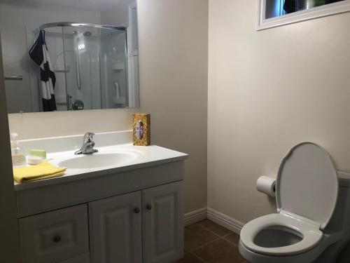a bathroom with a sink and a toilet and a mirror at HB Guest Home 5 in Waterloo