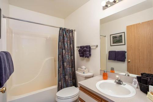 a bathroom with a sink and a toilet and a shower at Walk to Downtown * 6 Guests * Pets * A/C! * No Stairs! in Leavenworth