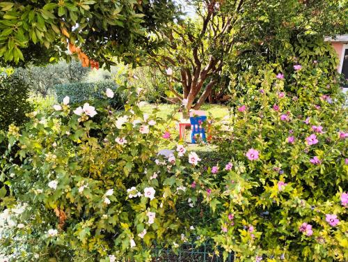 a garden with pink flowers and a fence at CA DU STEA in Lavagna