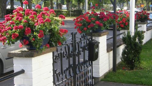 a fence with flowers in pots on a street at Monicas Rumsuthyrning in Borgholm
