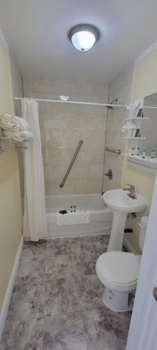 a bathroom with a toilet and a sink and a tub at North Shore Wayside Inn in Blind River