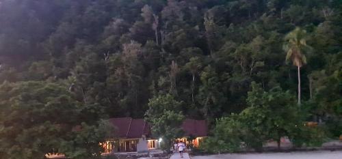 a house in the middle of a forest at Amoryg Resort and Dive Raja Ampat in Pulau Mansuar