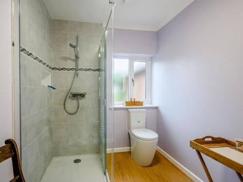 a bathroom with a shower and a toilet at Hilley Holey in Horning