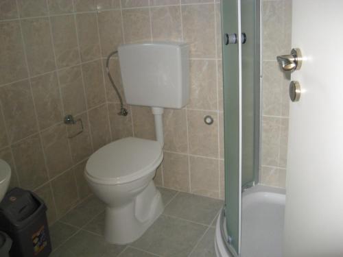 a bathroom with a toilet and a shower at Apartment Ana Marija in Mavrovo