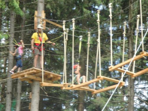 a group of people on aigle in a tree at Apart Tyrol in Uderns