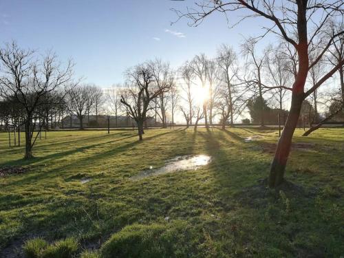 a field with trees and the sun in the distance at 't Winkeltje - Vakantiehuisje op boerderij Huize Blokland in Hem