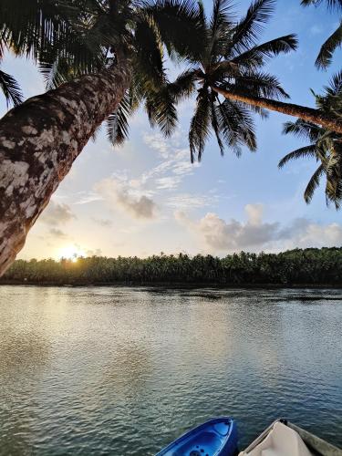 a boat on a river with a palm tree at Kudil Mud Cottages, Cheemeni in Peringom