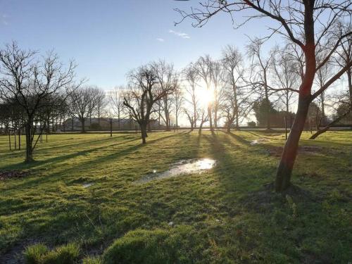 un campo con árboles y el sol a lo lejos en 't Pekelhuis - Vakantiehuisje op boerderij Huize Blokland en Hem