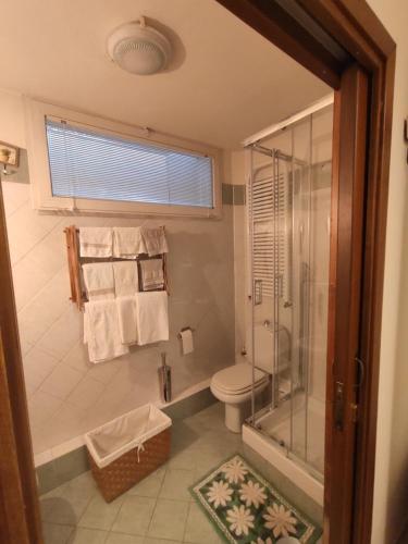 ein Bad mit einer Dusche, einem WC und Handtüchern in der Unterkunft Sotto Sotto in Viareggio