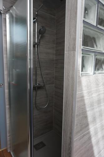eine Dusche mit Glastür im Bad in der Unterkunft le 18 bis in Vecoux