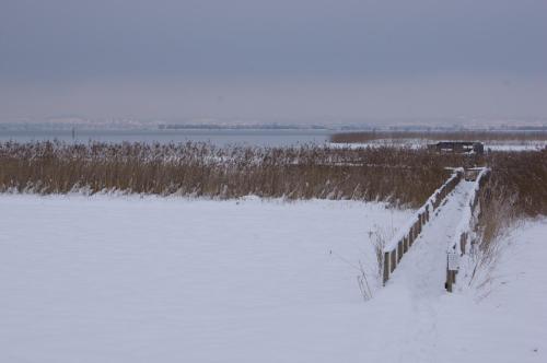 a bridge over a snow covered field with a train in the background at Ferienwohnung Beate in Höchst